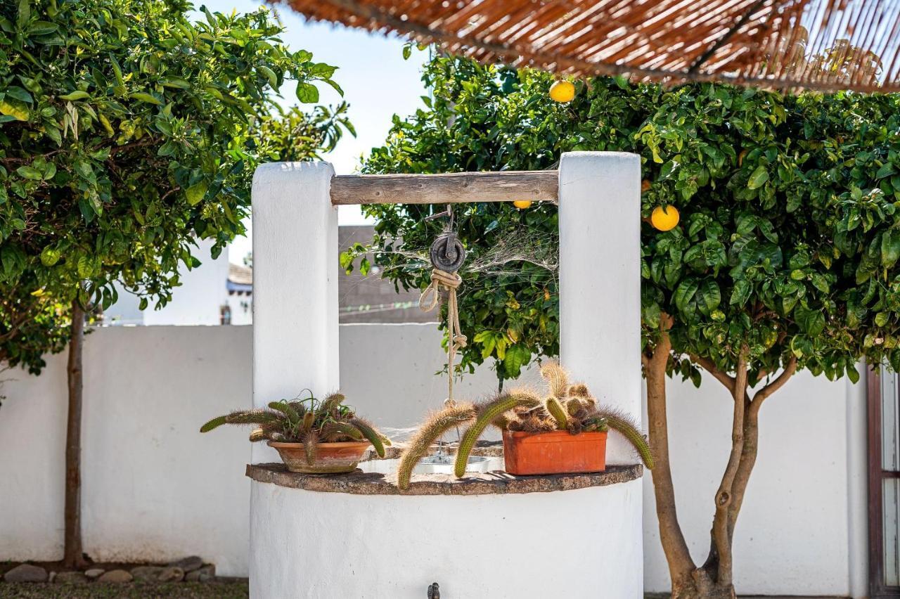 Cortijo Villa La Dehesa Conil De La Frontera Zewnętrze zdjęcie